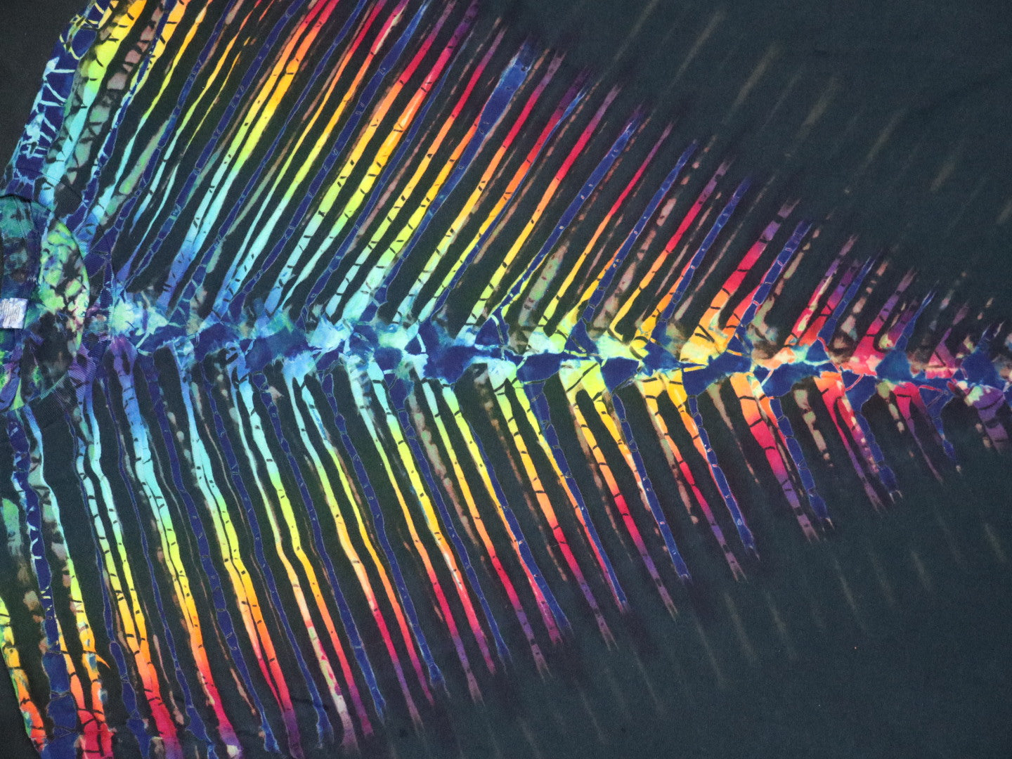 Rainbow Bones